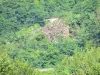 Paesaggi del Cantal - Gole verdi della Maronne