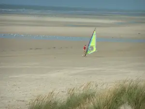 Paesaggi della Côte d'Opale - Piante (marram erba), spiaggia sabbiosa con una persona pratica di velocità a vela (windsurf su ruote) e gabbiani (La Manche), in Hardelot-Plage (Parc Naturel Régional des Caps et Marais d'Opale)