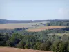 Paesaggi della Côte-d'Or - Turbine eoliche che dominano il paesaggio boscoso