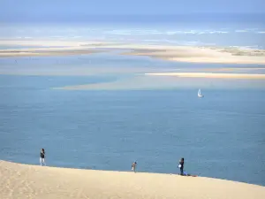 Paesaggi della Gironda - Vista della Riserva Naturale Nazionale del Banc d'Arguin, all'ingresso di Arcachon, dalla cima della duna di Pilat