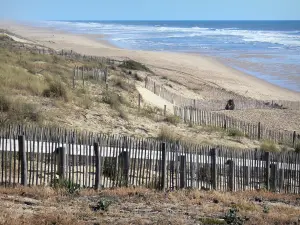 Paesaggi della Gironda - Costa d'Argento : spiagge della località balneare di Lacanau -Océan