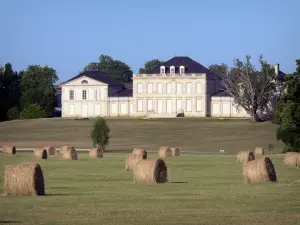 Paesaggi della Gironda - Chateau Phelan Segur, vigneto a Saint - Estèphe nel Médoc, e balle di fieno in primo piano