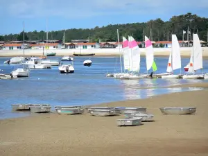 Paesaggi della Gironda - Bassin d' Arcachon - Andernos - les - Bains : ottimisti e catamarani a vela club, baracche sul mare e sul porto di ostriche in background