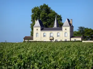 Paesaggi della Gironda - Bordeaux : Chateau Laurent Abel e dei vigneti di Margaux nel Médoc