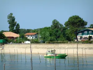 Paesaggi della Gironda - Barca Oyster, ville sulla spiaggia e il bacino di Arcachon