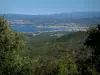 Paesaggi del litorale della Costa Azzurra  - Del Sicié Cap, vista su alberi, macchia, bosco, località di mare che circondano il Mar Mediterraneo e le colline
