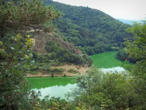 Paesaggi della Loira - Gorges de la Loire: fiume Loira, gli alberi in fiume e collina boscosa