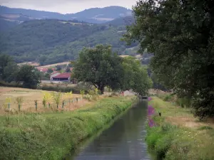 Paesaggi della Loira - River, campi, alberi e colline