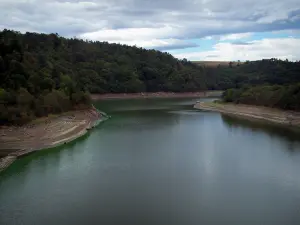 Paesaggi della Loira - Fiume Loira alberato