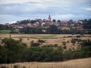 Paesaggi della Loira - Villaggio circondato da alberi e pascoli