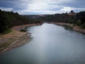 Paesaggi della Loira - Fiume Loira alberato