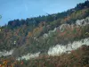 Paesaggi della Savoia in autunno - Parapendio (parapendio) e la montagna ricoperta di alberi dai colori autunnali