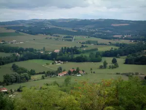 Paesaggi del Tarn - Della città alta di Cordes-sur-Ciel, vista di alberi, prati, case, campi e boschi