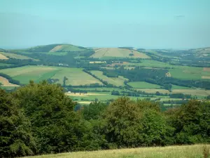 Paesaggi del Tarn - Erba, alberi, prati, campi e boschi