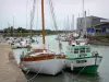 Guida dei Paesi della Loira - Isola di Noirmoutier - Noirmoutier en l'Ile: porto con le sue barche ormeggiate