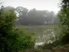 Paimpont - Teich des Dorfes gesäumt von Bäumen und Vegetation