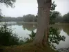 Paimpont - Lagoa da aldeia forrada com árvores