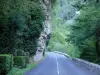 País Diois - Gorges des Gats: estrada de desfiladeiros ladeada de árvores e falésias