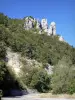 País Diois - Paisaje desde la carretera del Col de Rousset