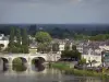 Paisagens de Anjou - Vale do Loire: ponte sobre o rio Loire, casas e edifícios de Offard Island, Saumur, árvores e floresta; no Parque Natural Regional Loire-Anjou-Touraine