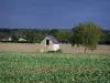 Paisagens de Anjou - Cabana em um campo, casas, árvores e florestas