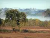 Paisagens de Anjou - Campo, árvores e floresta na neblina