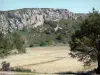 Paisagens de Aude - Maciço de la Clape, no Parque Natural Regional de Narbonnaise, no Mediterrâneo: escarpa rochosa e vegetação