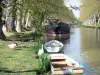 Paisagens de Aude - Canal du Midi: patos e gansos na beira da água e barcos ancorados