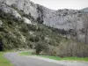 Paisagens de Aude - Fenouillèdes: rostos de pedra com vista para o Galamus Gorge Road