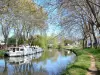 Paisagens de Aude - Canal du Midi: caminho sombreado ao longo do curso d'água e barcos ancorados