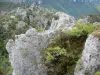 Paisagens de Aveyron - Caos de Montpellier-le-Vieux, no Parque Natural Regional de Grands Causses: rochas dolomíticas ruiniformes
