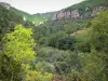Paisagens de Aveyron - Parque Natural Regional de Grands Causses: paisagem verde das gargantas do Dourbie