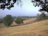Paisagens de Aveyron - Árvores, cercado, por, pastagens