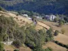 Paisagens de Aveyron - Vista, de, um, pequeno, estrada rural, forrado, com, árvores, e, pastagens