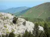 Paisagens do Béarn - Vista das montanhas dos Pirinéus da estância de esqui de Pierre Saint-Martin