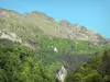Paisagens do Béarn - Floresta ao pé de uma montanha