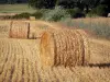 Paisagens de Berry - Botas de palha em um campo