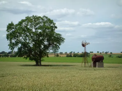 Paisagens de Berry