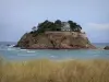 Paisagens costeiras da Bretanha - Costa Esmeralda: ilha de Guesclin, mar e oyats em primeiro plano