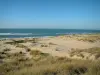 Paisagens da costa Charente-Maritime - Península Arvert: Oyats, areia, praia da costa selvagem abaixo e mar (Oceano Atlântico) com ondas pequenas