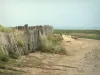 Paisagens da Normandia - Caminho arenoso, levando, para, mont-saint-michel, baía