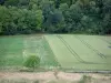 Paisagens da Picardia - Vista aérea dos campos e árvores de uma floresta