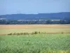 Paisagens da Picardia - Campos e floresta ao fundo