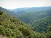 Paisagens da Provença - Colinas cobertas de florestas
