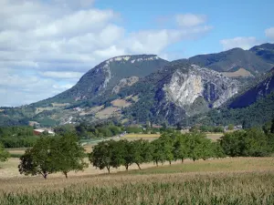 Paisagens do Drôme - Parque Natural Regional de Vercors: campo pontuado por árvores, no sopé das montanhas