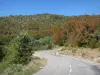 Paisagens do Drôme - Parque Natural Regional de Vercors: estrada arborizada levando a La Chapelle-en-Vercors