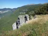 Paisagens do Drôme - Parque Natural Regional de Vercors: vista sobre as montanhas verdes