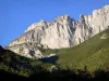 Paisagens do Drôme - Paredes rochosas e vegetação