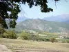 Paisagens do Drôme - Parque Natural Regional do Baronnies Provençales: campo de lavanda em primeiro plano, com vista para as colinas