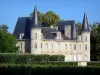 Paisagens do Gironde - Vinha Bordeaux: Château Pichon-Longueville, vinha em Pauillac, Médoc